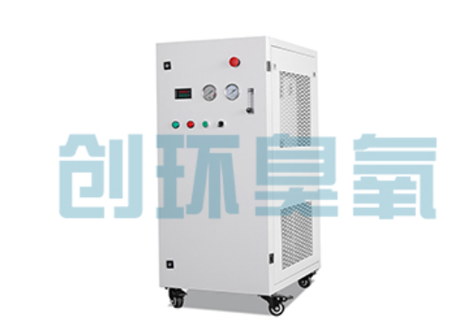 武邑石斑鱼养殖水质调控完整指南:臭氧发生器配置与操作步骤