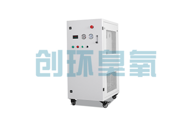 武邑比传统换水更高效?臭氧发生器在石斑鱼养殖中的水质净化原理解析